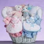 Celestial Baby Gift Basket-Gift For Twins