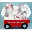 Deluxe Welcome Wagon Baby Girl Gift