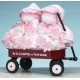 Girls Deluxe Welcome Wagon Personalized Gift For Twins