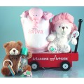 Personalized Welcome Wagon Baby Girl Gift