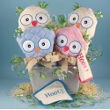Two Hoots Owl Baby Gift Basket for Twins
