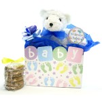 Baby Boy Teddy Bear Cookie Bouquet- 6 or 12 Gourmet Cookies